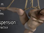 May 7th: Rope Suspension: Theory and Practice