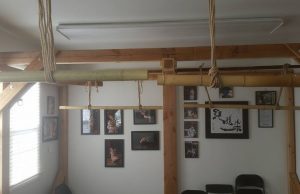 Hazukashii and Humiliation in Yukimura-ryū