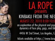 Kinbaku from the Neck Up