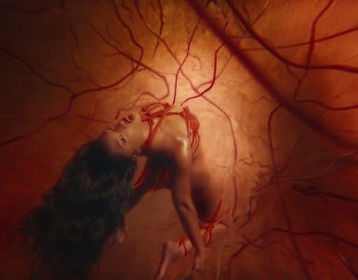 Tying Megan Thee Stallion for “Hiss”