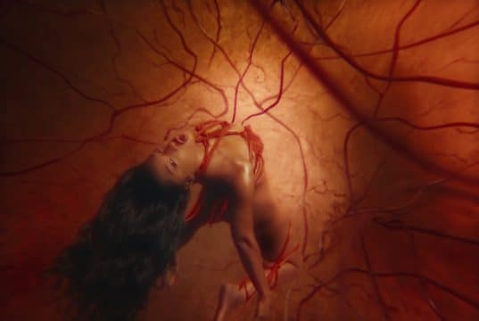 Tying Megan Thee Stallion for “Hiss”